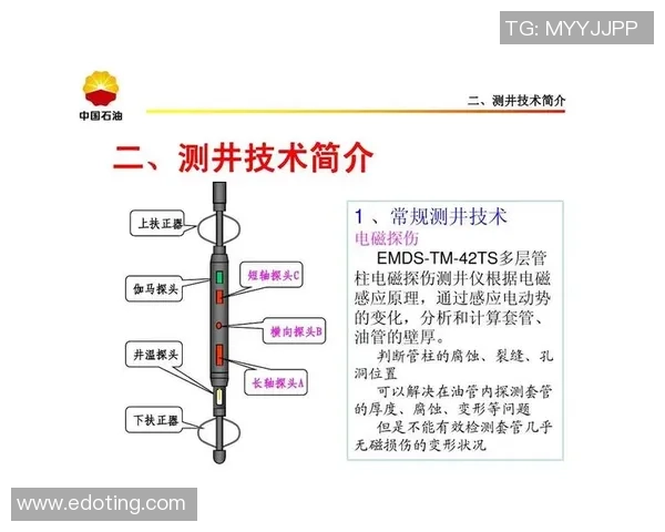 成都排球队在邀请赛中的技术表现分析与点评