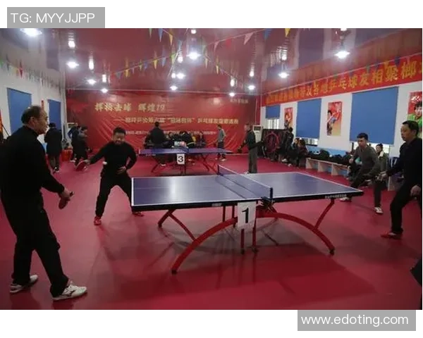 杭州乒乓球队耐力争议引发热议球迷与专家各抒己见探讨训练方法与比赛表现