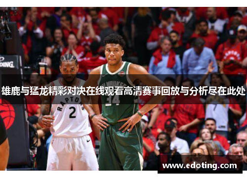 雄鹿与猛龙精彩对决在线观看高清赛事回放与分析尽在此处